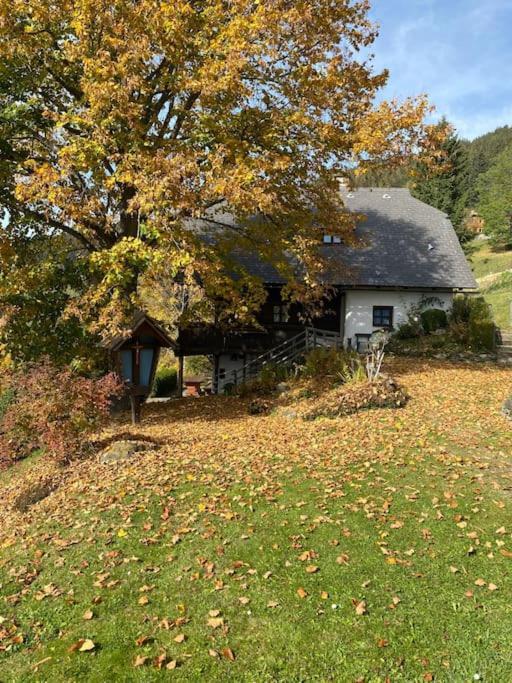 Ferienhaus Almzeit Koralpe Villa Rieding Exterior foto